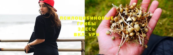 мдма Бородино