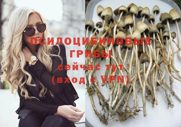 мдма Бородино